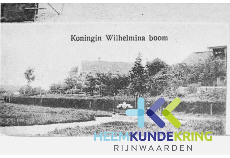 Wilhelmina boom Kade Tolkamer F00001953